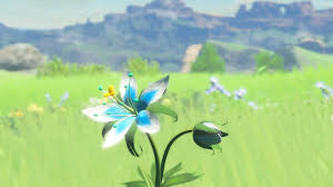 Silent Princess Flower From Botw Legend Of Zelda Breath Of The Wild Legend Of Zelda Breath