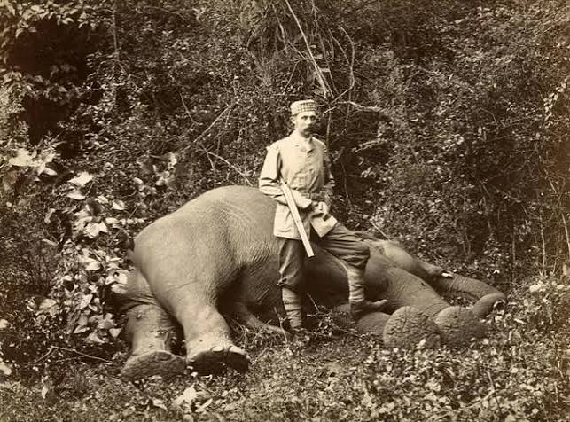 The British and the Wild Game Hunting Era – Ceehale