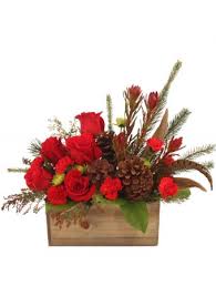 Maybe you would like to learn more about one of these? Christmas In The Woods Arrangement In Santa Rosa Beach Fl 1920 Co