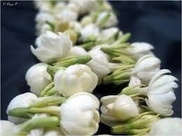 Good luck flowers in india. Pin On Ink