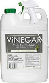 9 Pet Friendly Weed Killers For Lawns Happy Lawn Safe Pet
