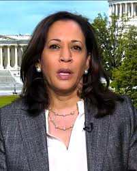 Dr. Leah Wright Rigueur tells 'Powerhouse Politics', candidate's policing  track records could complicate Biden's VP search