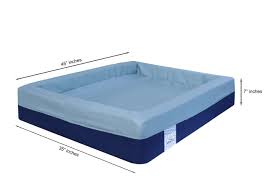 The right bed equals happy dog. Dog And Cat Beds Online Buy Beds For Your Puuppy Springtek