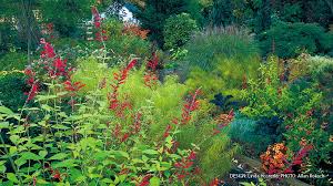 Like russian sage, common sage and other salvia family members have a minor usefulness as bearers of edible flowers. Long Blooming Salvias Garden Gate