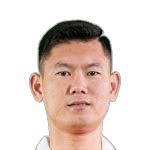 Van Long Phan stats and ratings