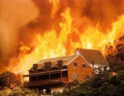 A wildfire on table mountain in cape town, south africa, destroys a special collections library and injures two firefighters. What Do We Learn From Cape Town S Big Mountain Fire Rosenthal Environmental