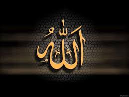 Sacred Wallpapers Beautiful Allah Name Hd Islamic What S App Islamic Dps For Whatsapp 720202 Hd Wallpaper Backgrounds Download Collection by syeda sehrish shah. beautiful allah name hd islamic