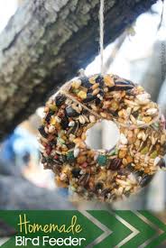 A birdseed wreath is an inexpensive craft you can make with your kids or give as a gift to a bird lover in your life. Homemade Bird Feeder A Mom S Take