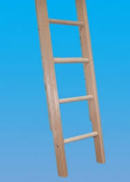 Browse our site and see how best are ours. Industrial Timber Ladder Single Section To Bs1129 Class 1