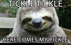 20 Seriously Hilarious Sloth Memes To Make Your Day Better Sayingimages Com Smiling Animals Happy Animals Sloth