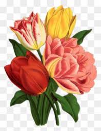 French hotel transfer printable | laminas vintage para. Tulip Bouquet Clipart Flower Bouquet Clipart Png Free Transparent Png Clipart Images Download