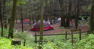 Twitter announced parking lot closure nearly each day. Frozen Head State Park Tennessee State Parks