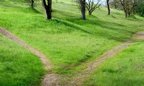 Dans la Manche, un sentier du littoral toujours à l’abandon malgré les alertes