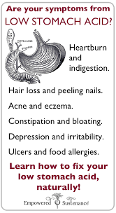 Pin On Empowered Sustenance