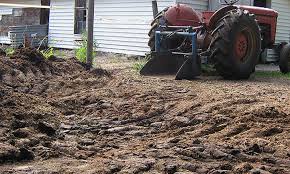 Check spelling or type a new query. Horse Manure From Road Apples To Fantastic Fertilizer Epic Gardening