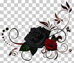 Pin On Rose Flower Png