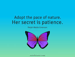 Tao te ching, p.55, shambhala publications. 27 Inspirational Nature Quotes With Important Life Lessons Hidden Wisdom Nature Quotes Inspirational Nature Quotes Life Lesson Quotes