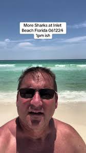 How Many Sharks Today in Rosemary Beach Florida