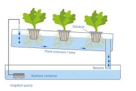 Check spelling or type a new query. Hydroponic Various Hydroponics Systems