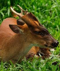 Pin On Nature
