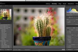 2021 licence free to try os support mac downloads. Download Adobe Lightroom 6 10 1 Dmg For Mac Os