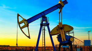 Direktur pengolahan pertamina, rachmad hardadi, foto: Pertamina Pastikan Pembelian Lahan Untuk Proyek Grass