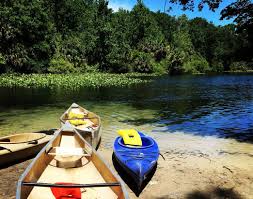 Canoe Vs Kayak Which Is Best For You