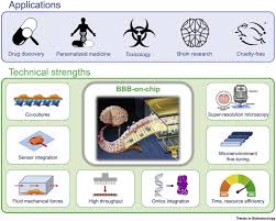 Feb 24, 2014 · functional magnetic resonance imaging (fmri) investigates neural activity of the brain by measuring changes in blood oxygen level dependent (bold) signal 50, which indicates areas of increased activation in response to a mental task or stimulus 51. Advances In Microfluidic Blood Brain Barrier Bbb Models Trends In Biotechnology