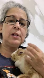 What a pleasure it was to groom this little bunny! I’m in love! I also got  “blessed” (she pooped & peed