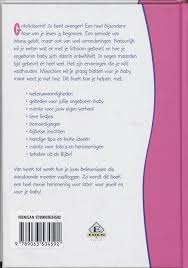 Bol Com Babylief Jouw Zwangerschap Van Week Tot Week Mirella Van Schaaijk 9789063534592