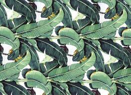 Aug 30, 2016 · 1942: 47 Martinique A Wallpaper On Wallpapersafari