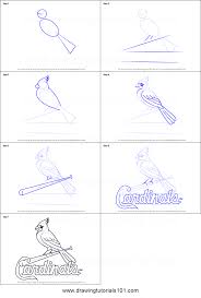 Maybe you would like to learn more about one of these? How To Draw St Louis Cardinals Logo Printable Step By Step Drawing Sheet Drawingtutorials101 Com