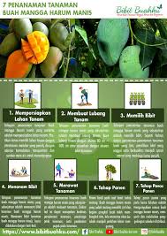 Pemilihan, yaitu menetapkan arah tindakan tertentu dari totalitas yang ada. 7 Tahapan Penanaman Tanaman Buah Mangga Harum Manis Bibit Buahku