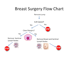 Geezer Chick Breast Cancer Surgical Flow Chart