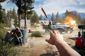 Image result for far cry 5