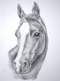 Disegni A Matita Sfumata Disegni Di Cavalli Arte Animale Disegno Di Cavallo