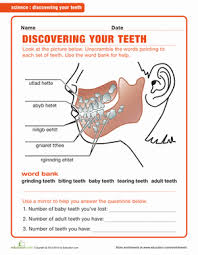 Your Teeth Worksheet Education Com Free Science Worksheets Dental Health Month First Grade Science