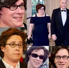 Sam,Matilda and Henry The Savvy Dachshunds