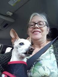 Yesterday we neutered my doggie named Camilo, he came out of surgery very  well, and in 10 days the stitches will be removed. We only breed him once  to my long hair