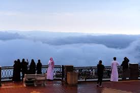 Tourism أخبار السعودية صحيفة عكاظ