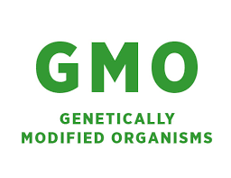Image result for gmo