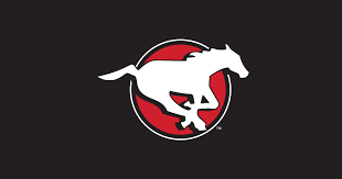 White joins former bearcats linebacker perry young on the stampeders' roster. Calgary Stampeders Whatever It Takes