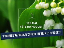 Trois bouquets de muguet, gai! 1er Mai 2021 3 Bonnes Raisons De Ne Pas Oublier Son Brin De Muguet