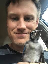 Is this a wild animal in the parking lot?