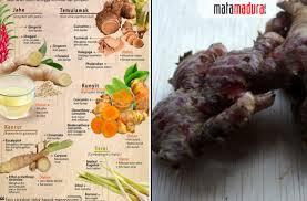 We did not find results for: Manfaat Jahe Kunyit Serei Dan Temulawak Penangkal Virus Corona Mata Madura