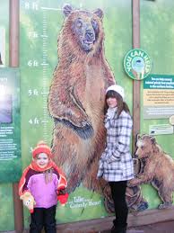 Brookfield Zoo Bear Exhibit Nature Museum Zoo Signage Childrens Museum