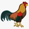 Perawatan anak ayam agar cepat besar berpostur bagus & bulu mengkilap yang harus dilakukan saat tebar doc agar ayam sehat kembali #vlog. Https Encrypted Tbn0 Gstatic Com Images Q Tbn And9gcsghgkbdlc6 9msrapm97mqdia8mxq9hcrvozaxbxy Usqp Cau