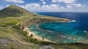 We hope you enjoy our growing collection of hd images to use as a background or home screen for your smartphone or computer. 1920 X 1080 Hd Hawaii Wallpapers Top Free 1920 X 1080 Hd Hawaii Backgrounds Wallpaperaccess