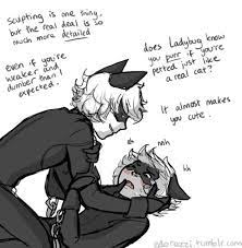 Cat Noir X Copy Cat Miraculous Ladybug Ladybug Miraculous Ladybug Memes