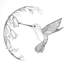 Simple Bird Of Paradise Drawing Cute Bird Tattoos Watercolor Tattoos In 2020 Hummingbird Drawing Bird Drawings Bird Sketch